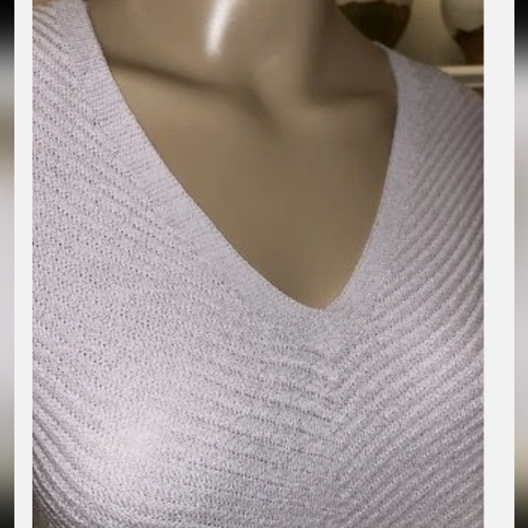 Eileen Fisher Extra Fine Italian Merino Wool Lilac V Neck Ribbed Knit Sweater L - Picture 5 of 13